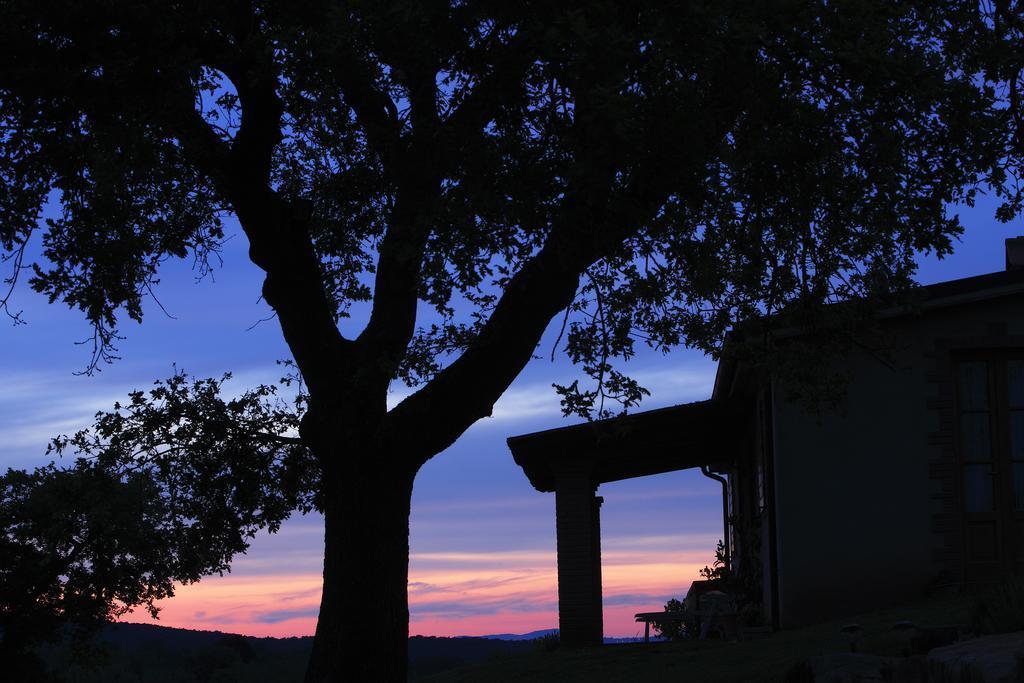 Agriturismo Belvedere Di Pierini E Brugi Campagnatico Zimmer foto