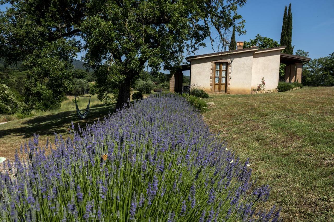 Agriturismo Belvedere Di Pierini E Brugi Campagnatico Exterior foto